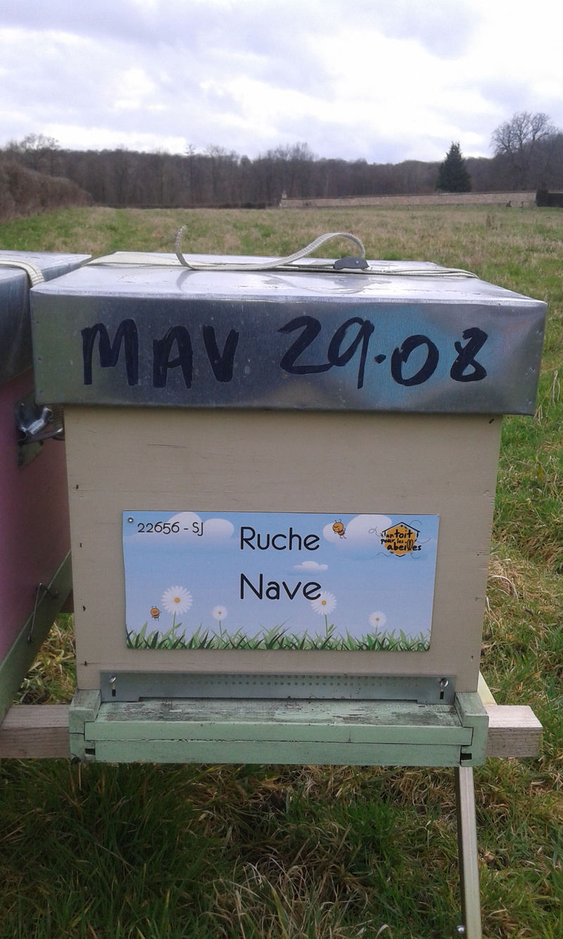 La ruche