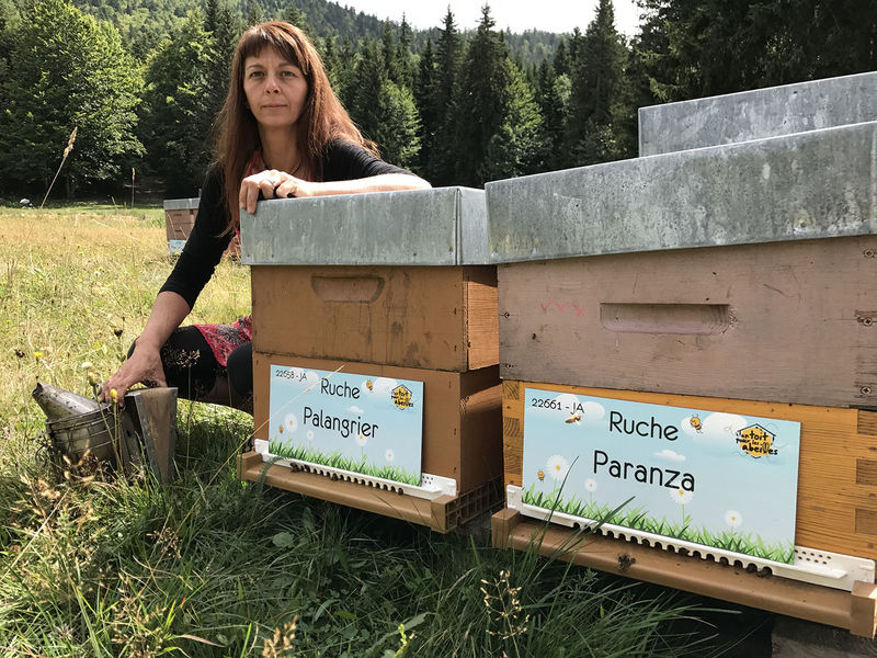 La ruche Paranza