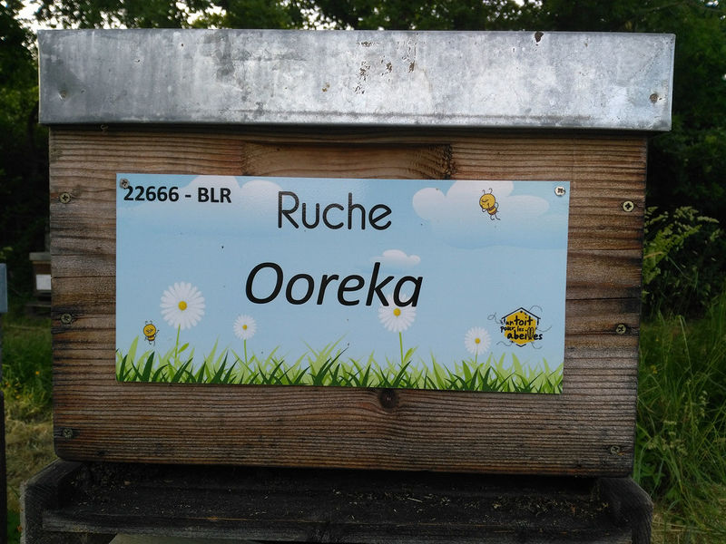 La ruche