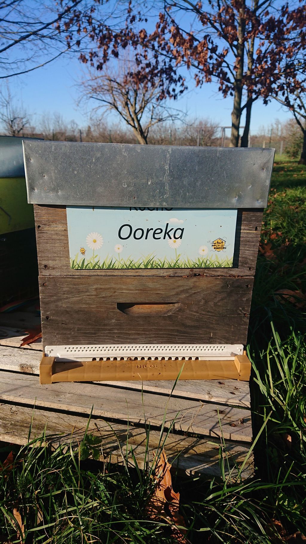 La ruche Ooreka
