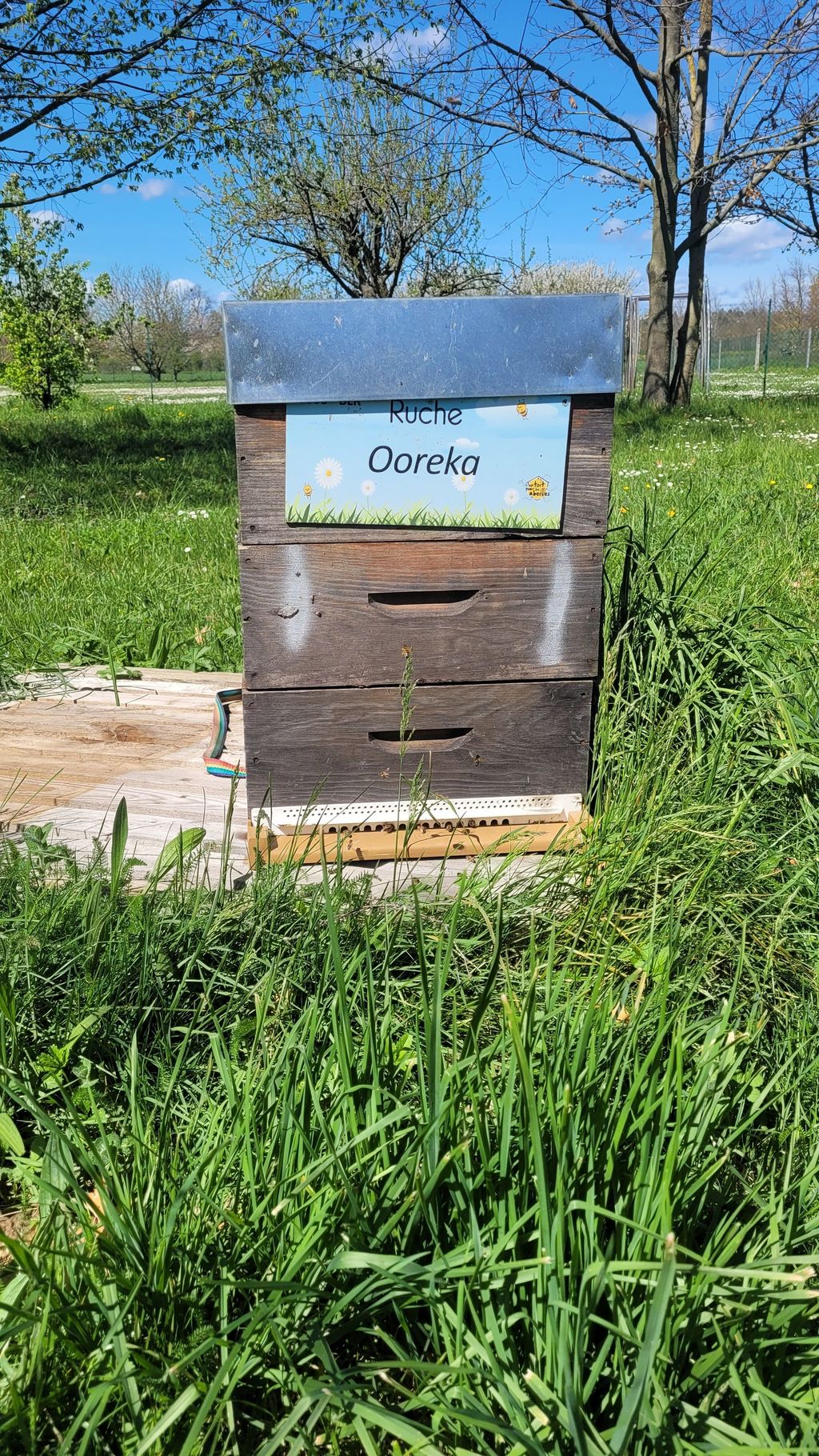 La ruche Ooreka