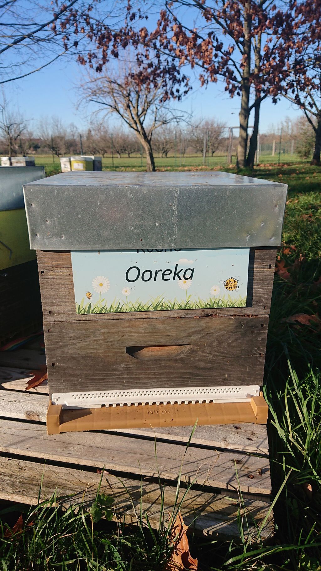La ruche Ooreka