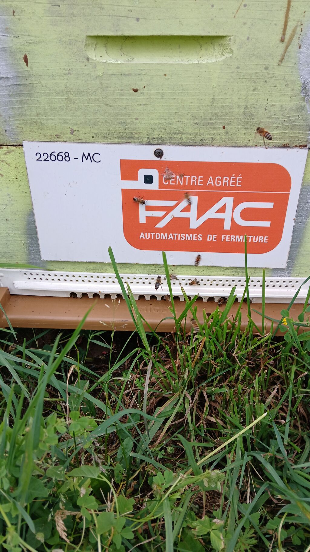 La ruche Faac france
