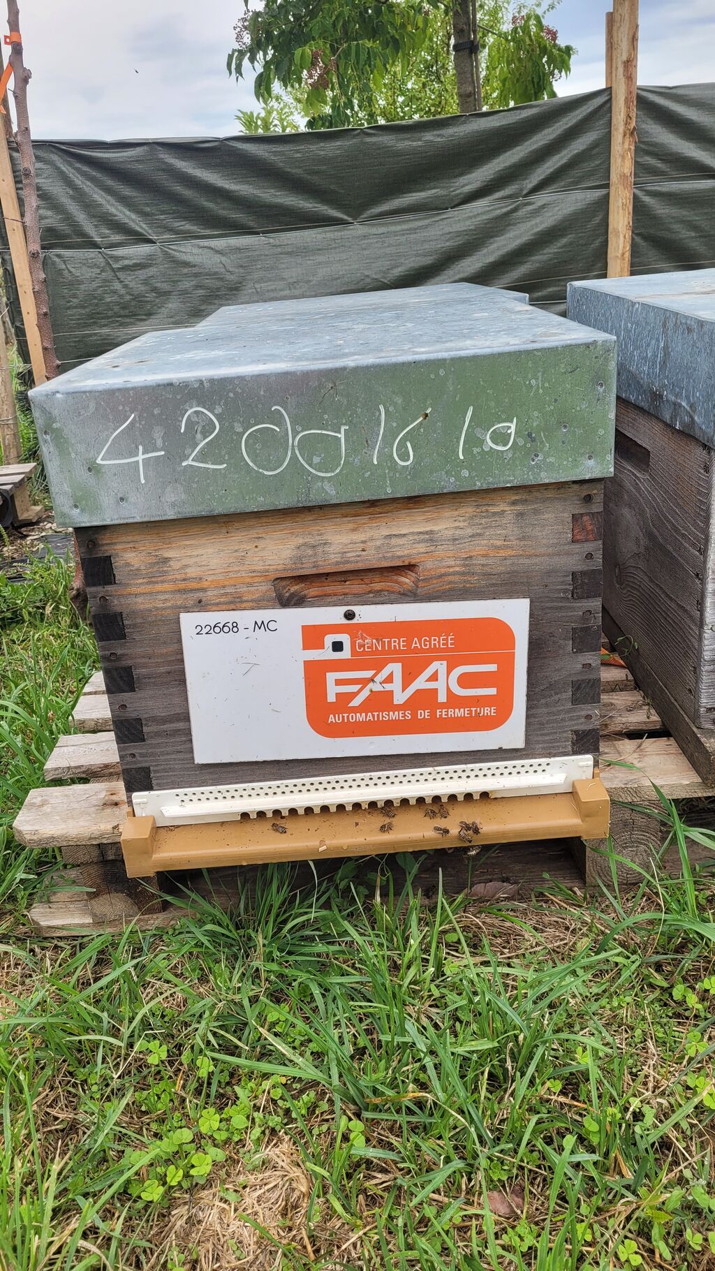 La ruche Faac france