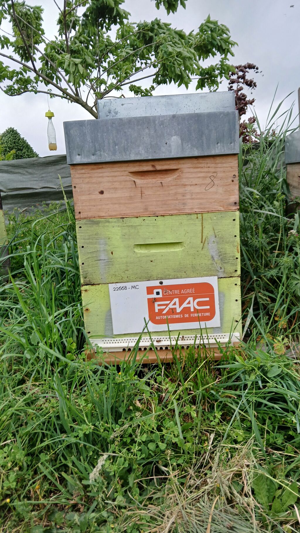 La ruche Faac france