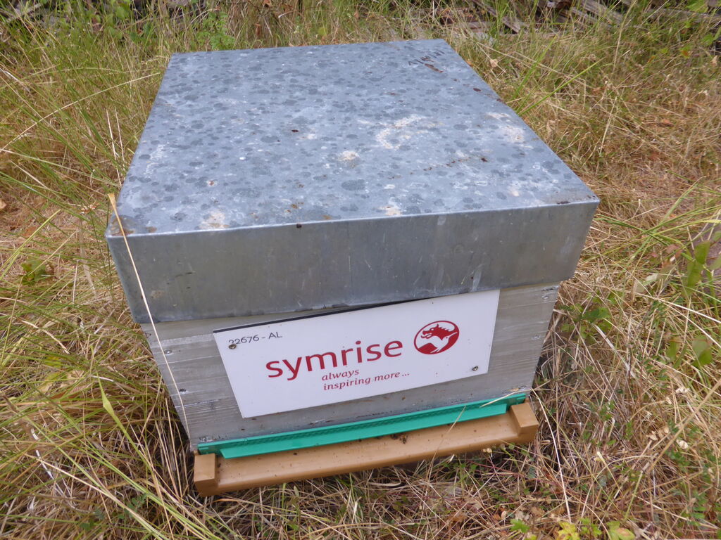 La ruche SYMRISE