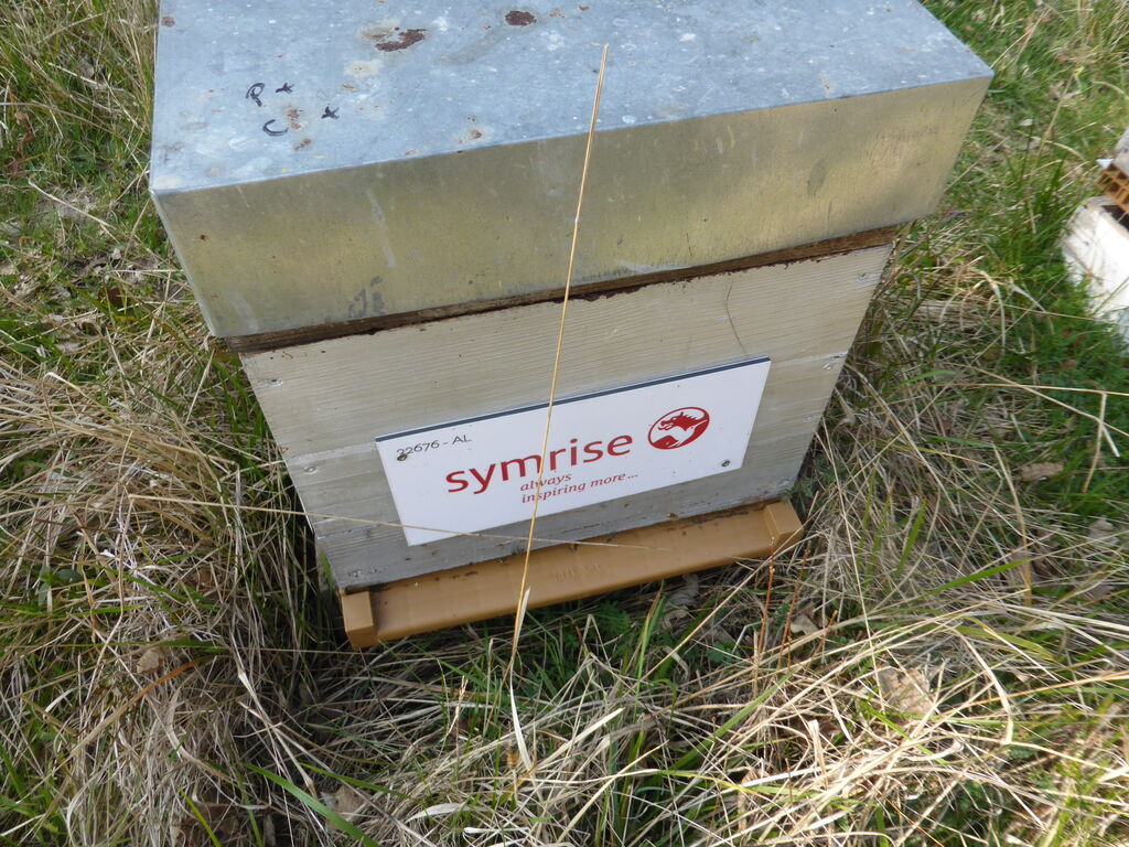 La ruche SYMRISE
