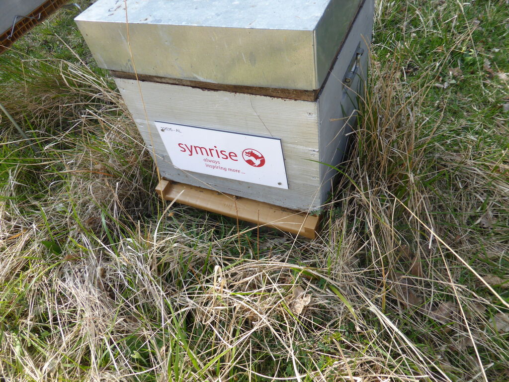 La ruche SYMRISE