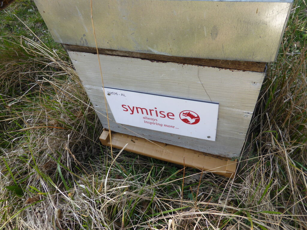 La ruche SYMRISE