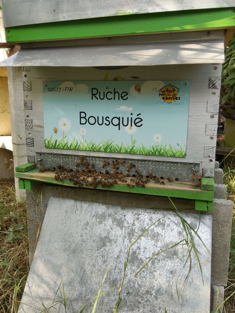 La ruche Bousquié