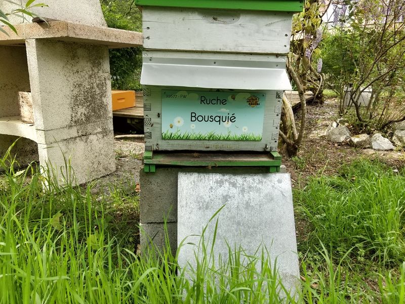 La ruche Bousquié