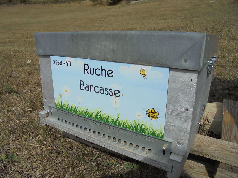 La ruche Barcasse