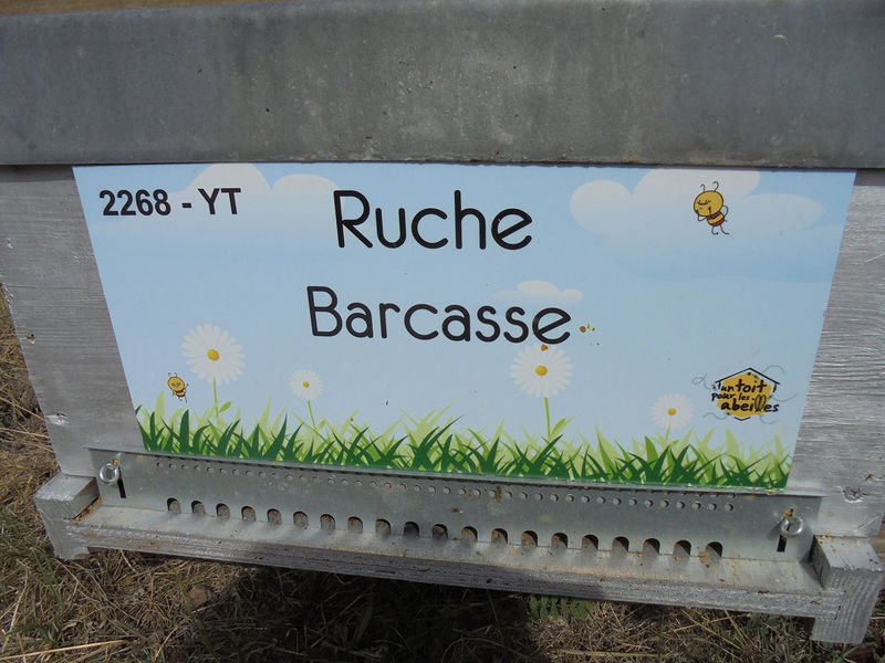 La ruche Barcasse