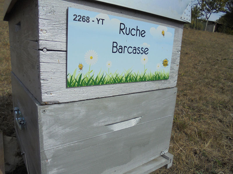 La ruche Barcasse