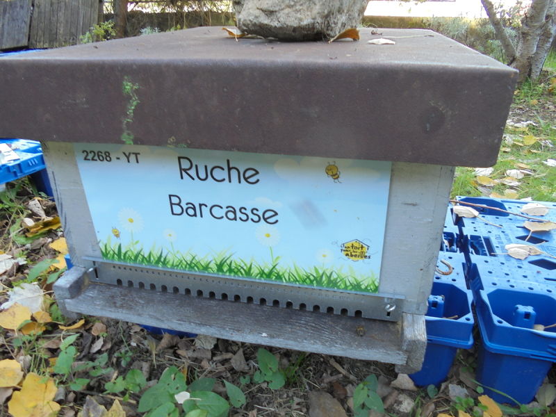 La ruche Barcasse