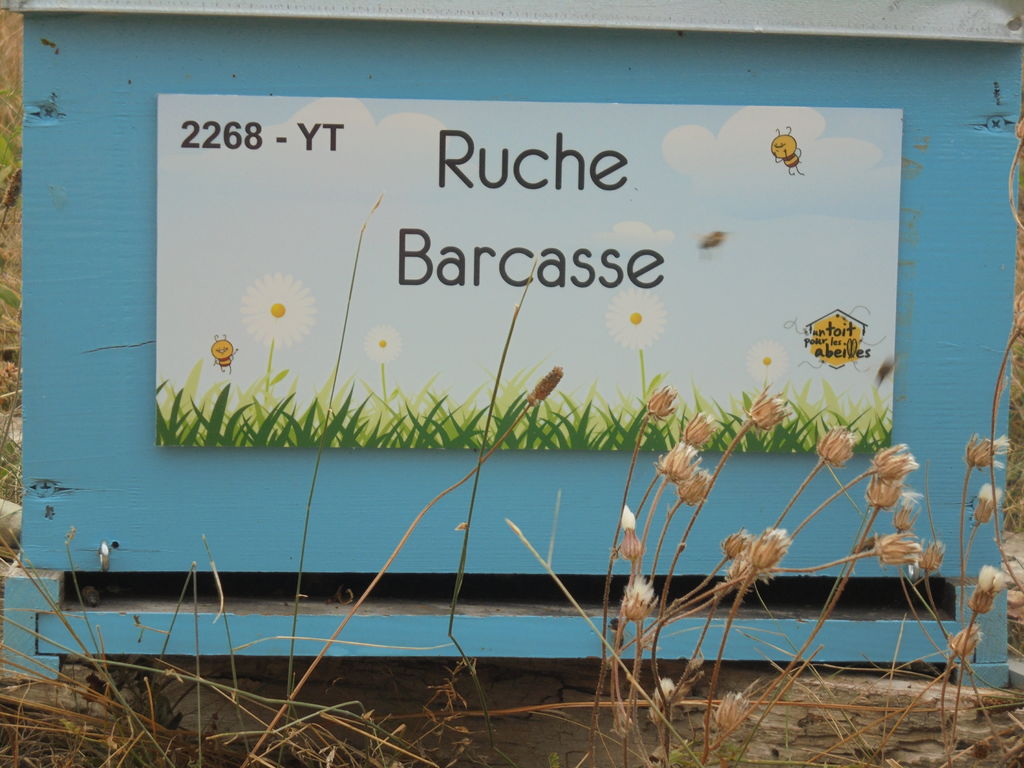 La ruche Barcasse