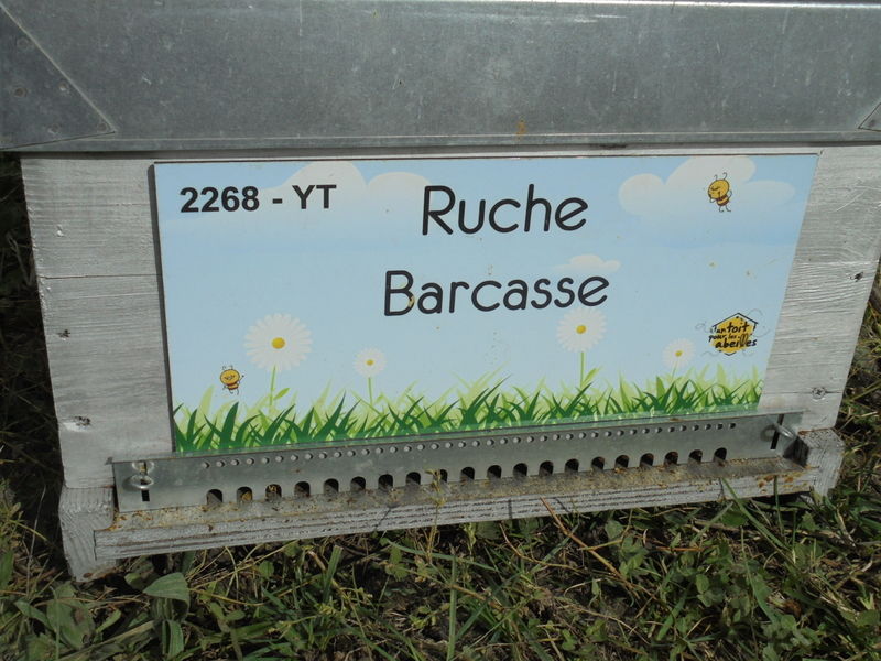 La ruche Barcasse