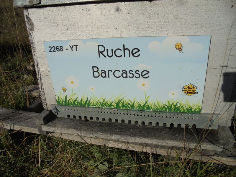 La ruche Barcasse