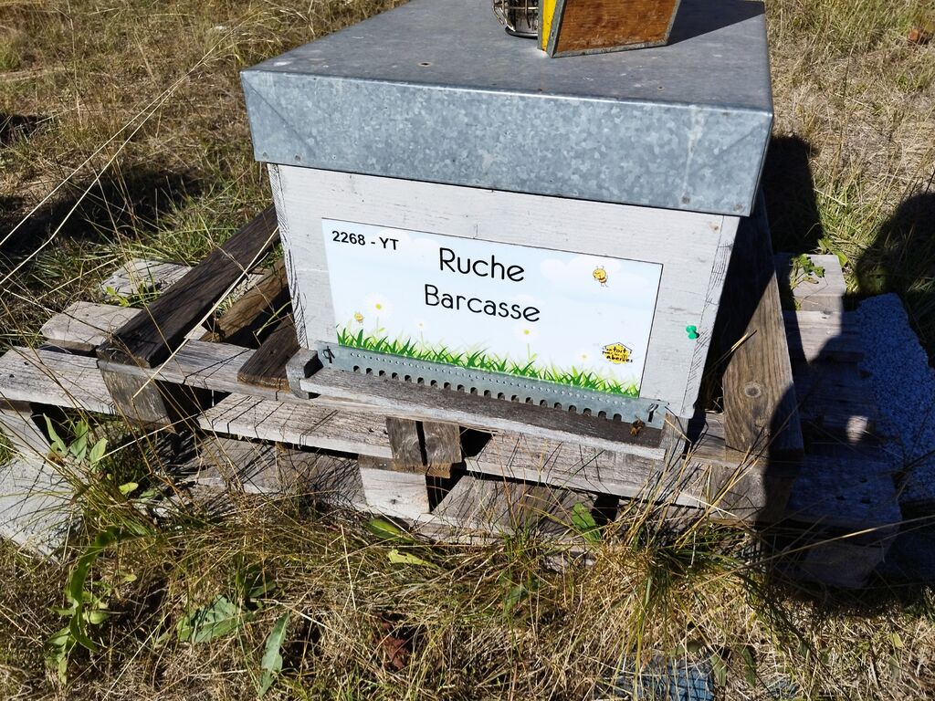 La ruche Barcasse