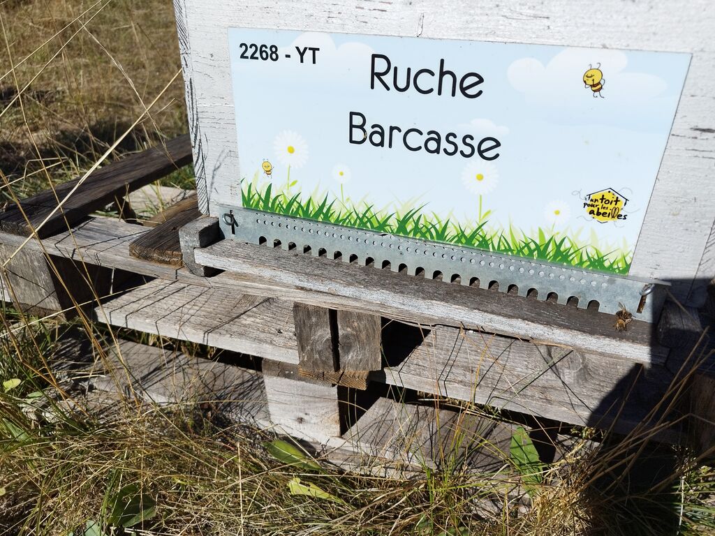 La ruche Barcasse