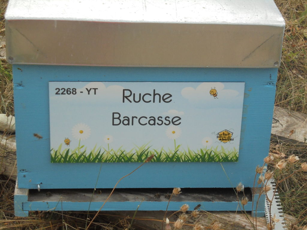 La ruche Barcasse