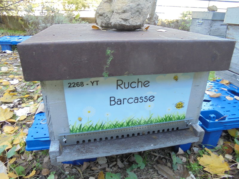 La ruche Barcasse