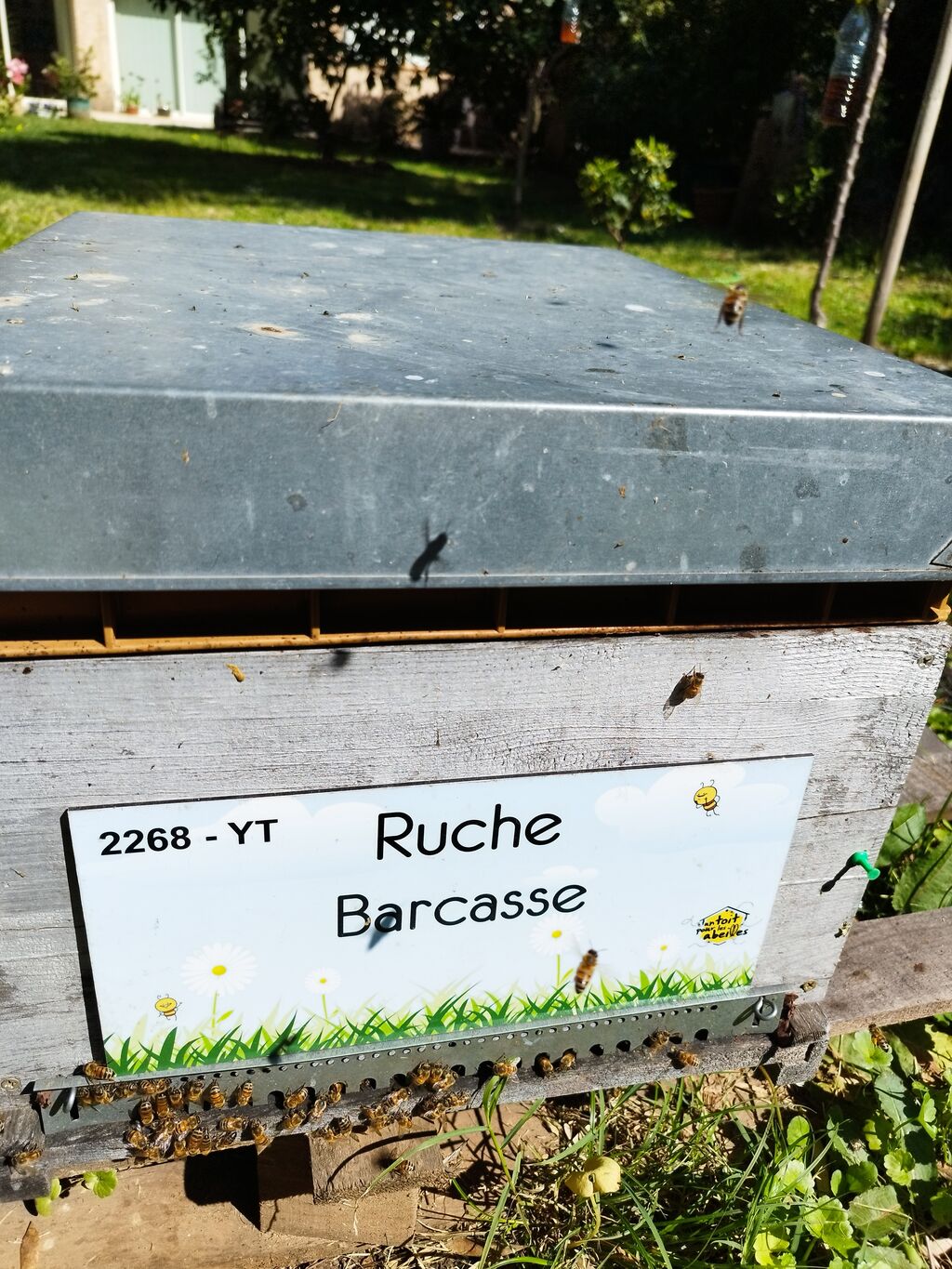 La ruche Barcasse