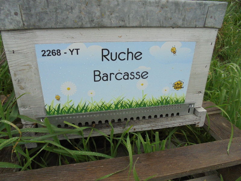 La ruche Barcasse