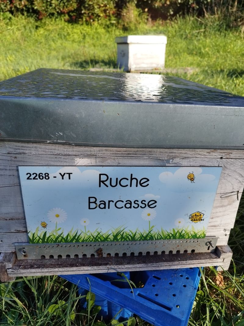 La ruche Barcasse