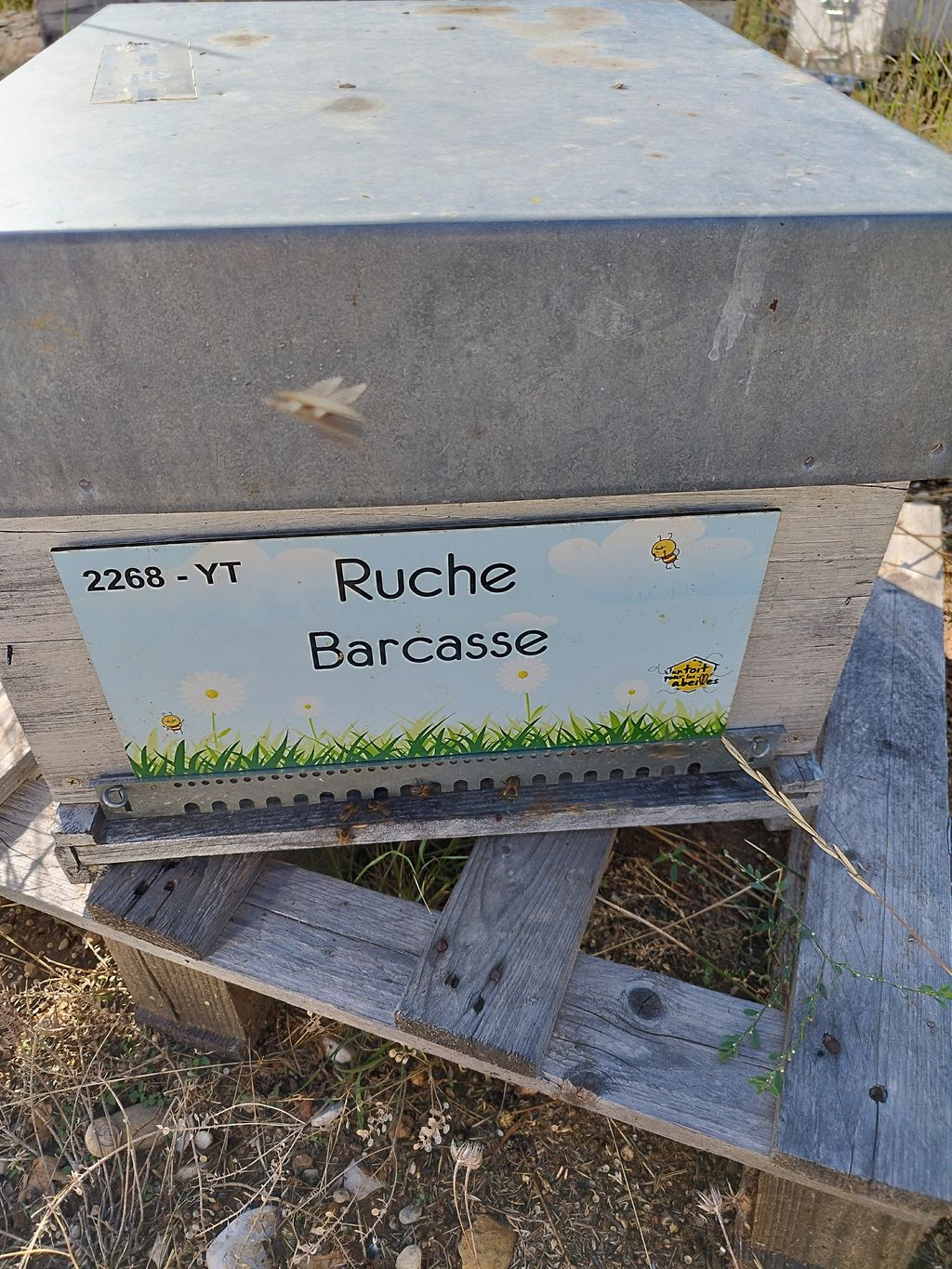 La ruche Barcasse