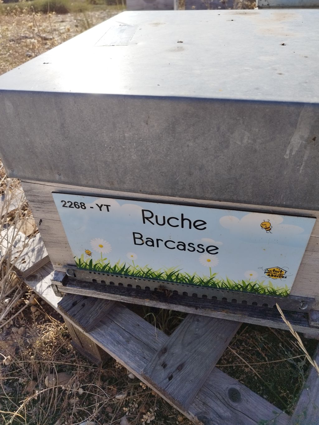 La ruche Barcasse