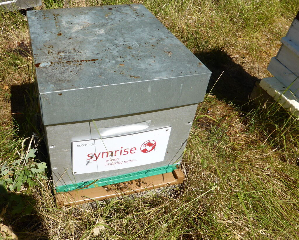La ruche SYMRISE
