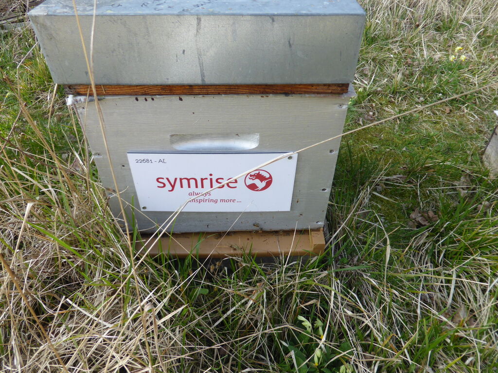 La ruche SYMRISE
