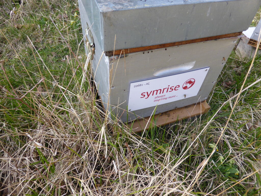 La ruche SYMRISE