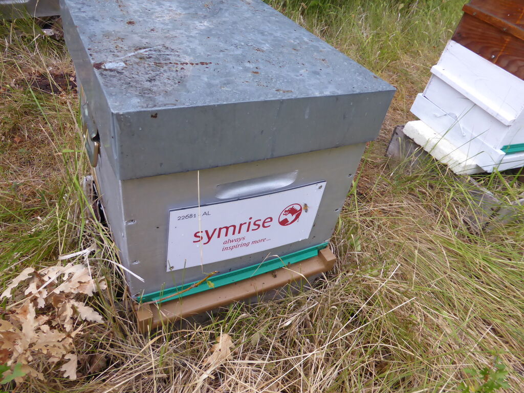 La ruche SYMRISE