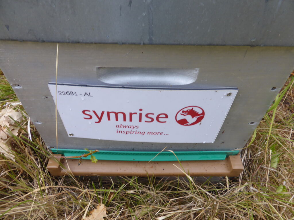 La ruche SYMRISE