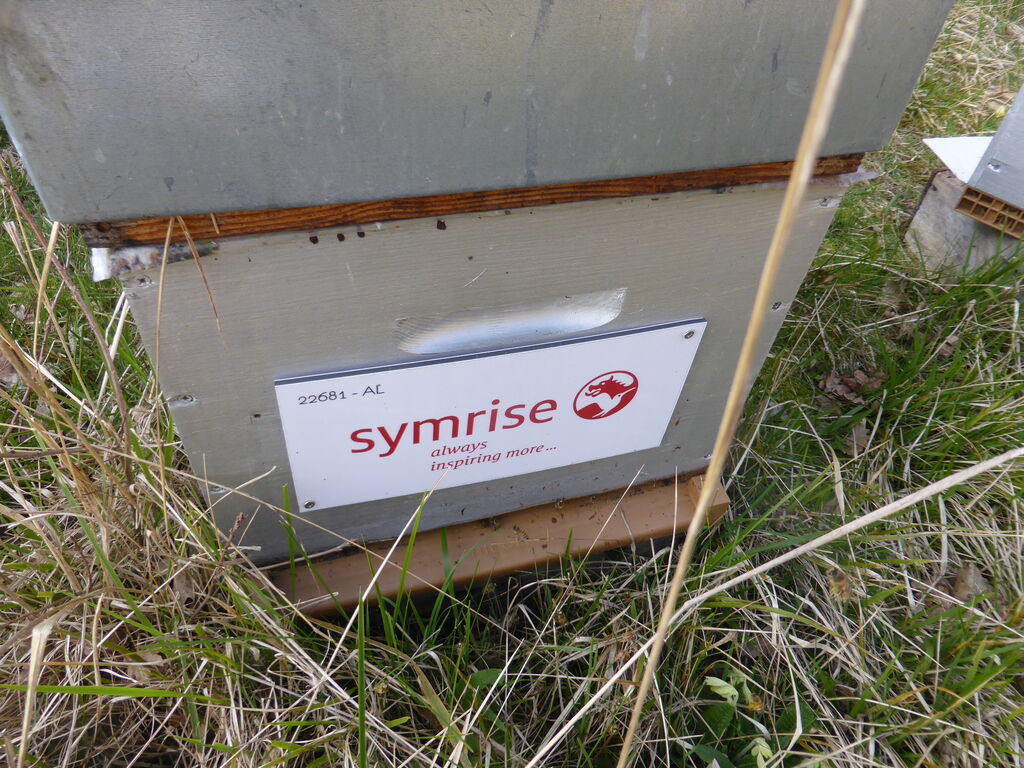 La ruche SYMRISE