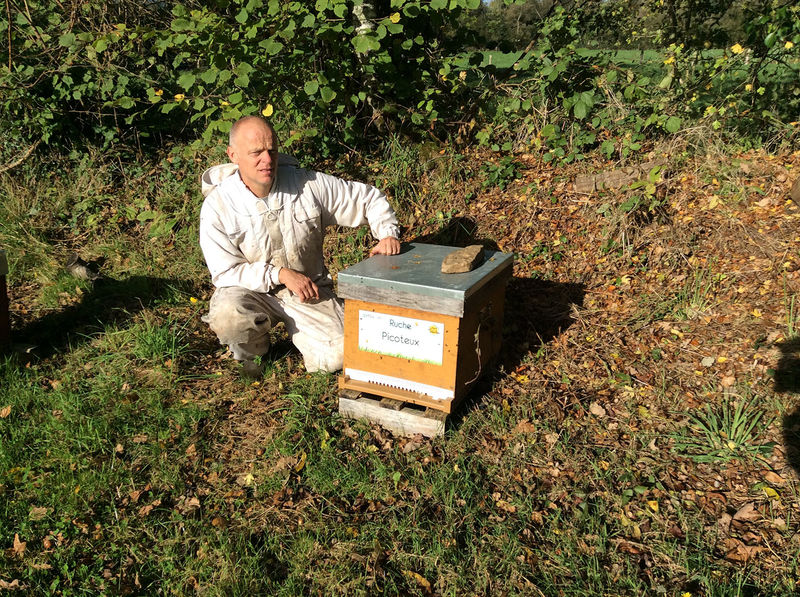 La ruche Picoteux