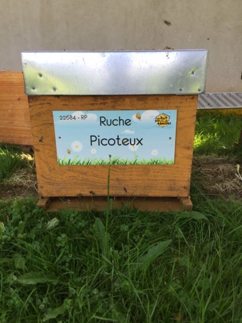La ruche Picoteux