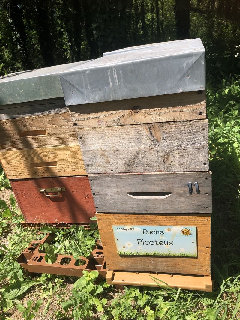 La ruche Picoteux