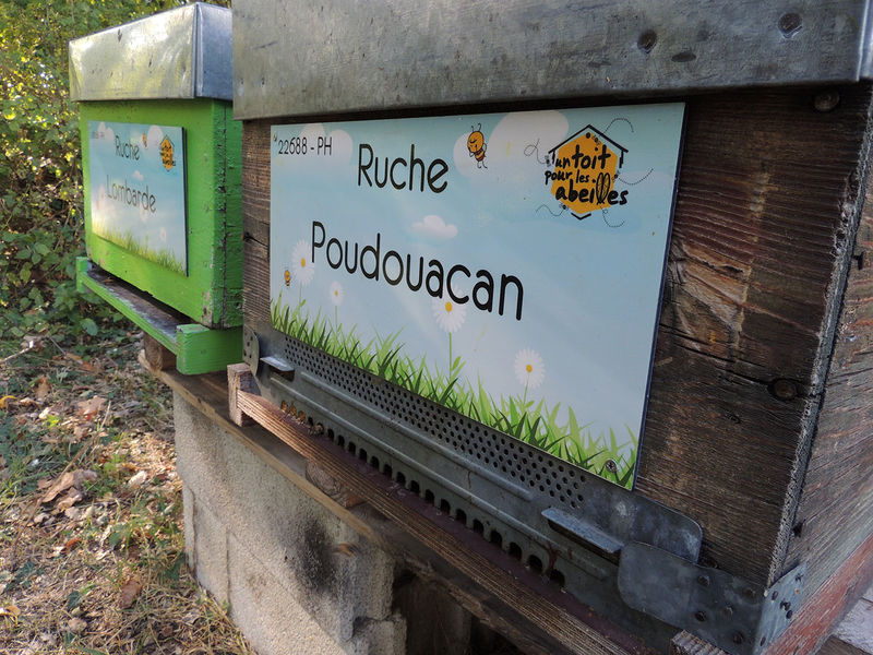 La ruche Poudouacan