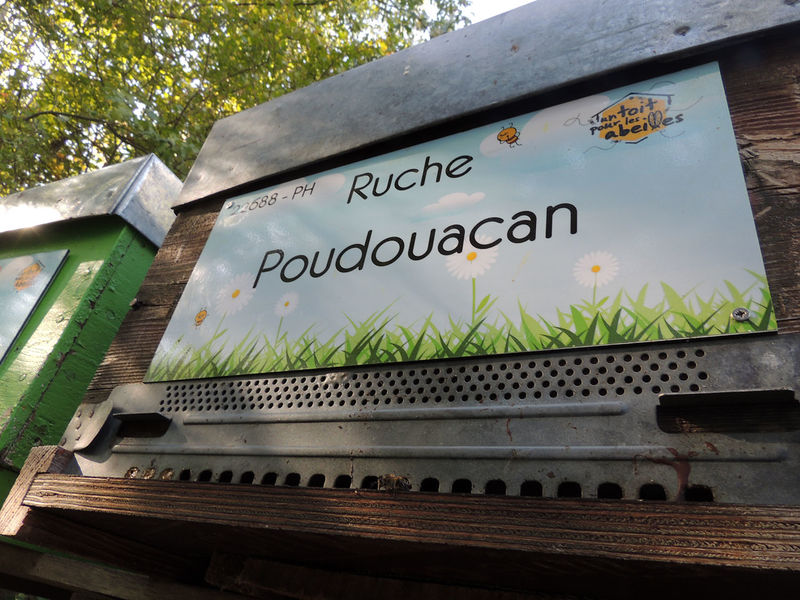 La ruche Poudouacan