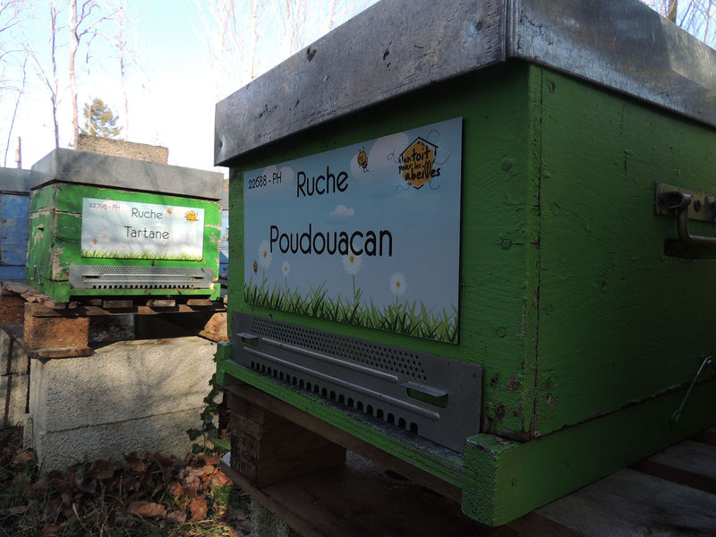 La ruche Poudouacan
