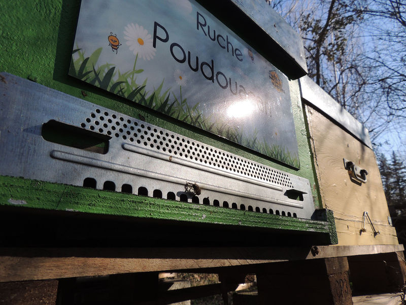 La ruche Poudouacan