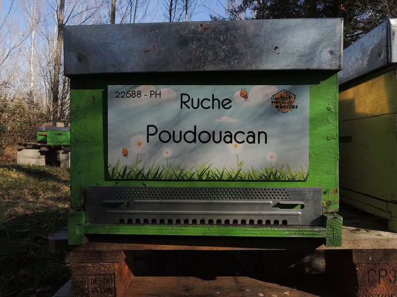 La ruche Poudouacan