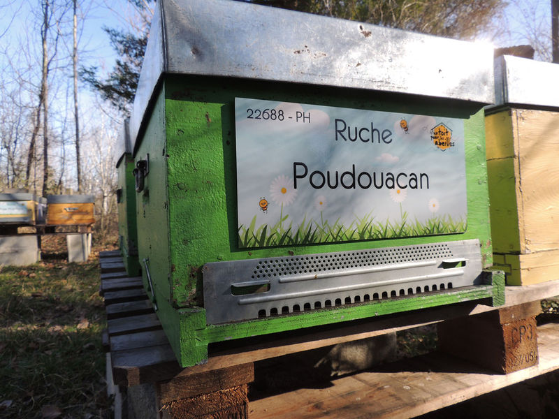 La ruche Poudouacan