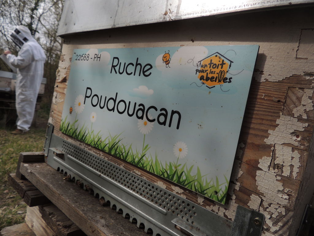 La ruche Poudouacan