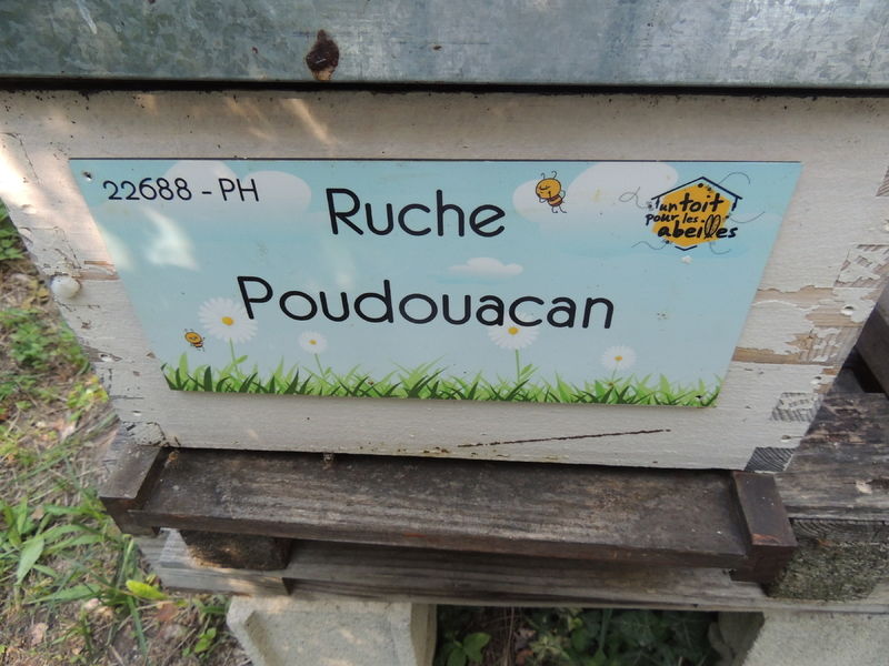 La ruche Poudouacan