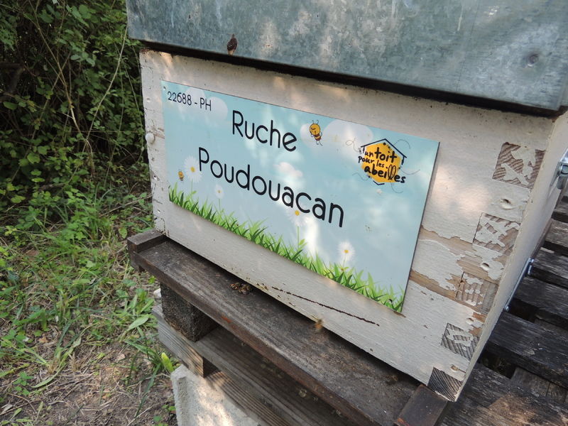 La ruche Poudouacan