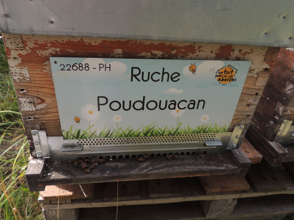 La ruche Poudouacan